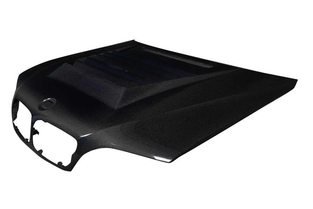 2002-2005 BMW 3 Series Carbon Creations D-1 Carbon Fiber Hood