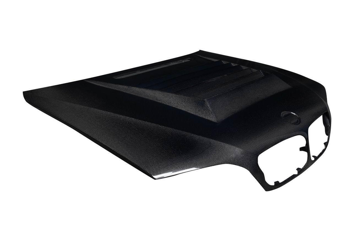 2002-2005 BMW 3 Series Carbon Creations D-1 Carbon Fiber Hood