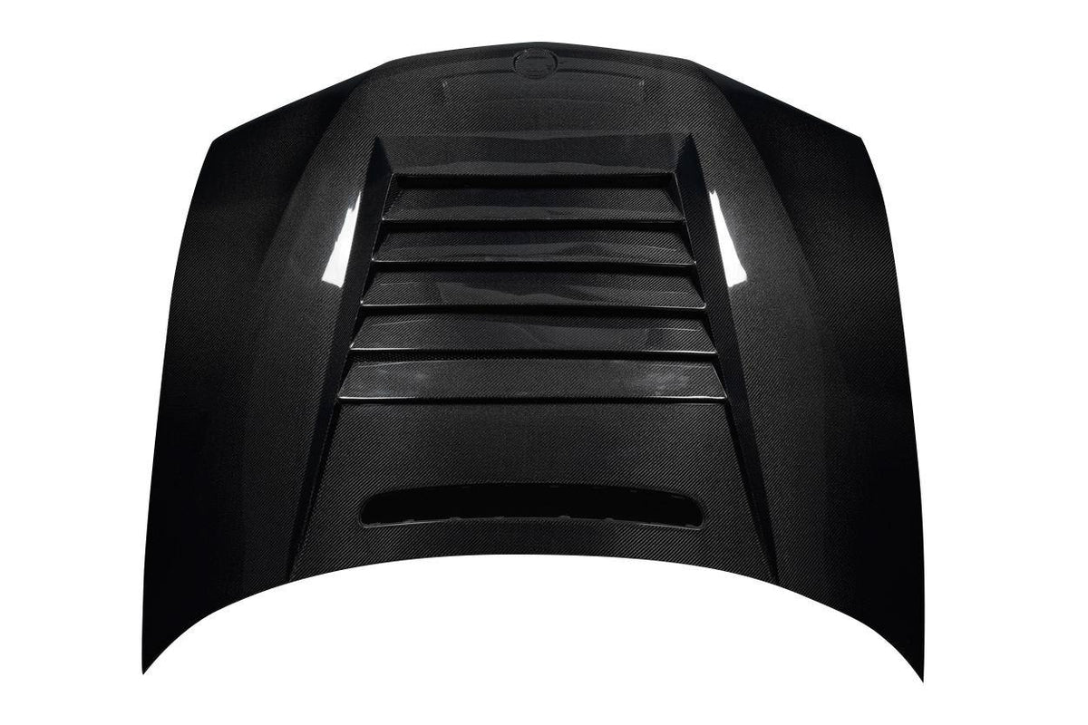 2002-2005 BMW 3 Series Carbon Creations D-1 Carbon Fiber Hood