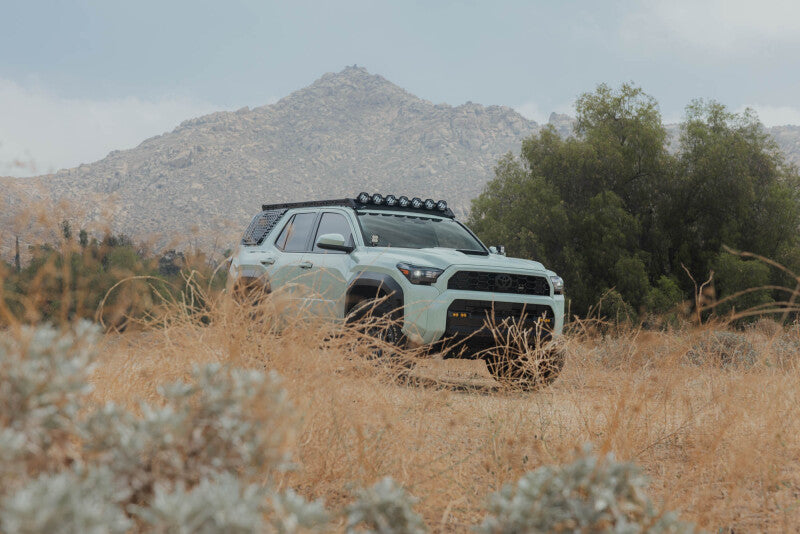 DV8 Offroad 25-26 Toyota 4Runner Exterior Window Molles (Use w/ PN dveRRTF3-02) - Driver & Passenger