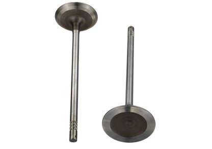 Ford Racing Coyote 5.2L Lightweight Intake Valve - Set of 8 M-6507-M52
