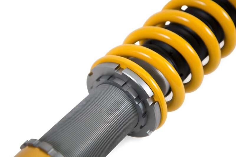 Photo - Close Up