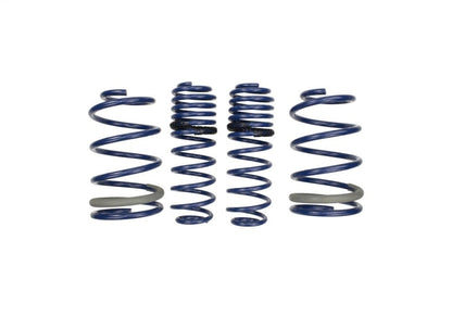 Ford Performance Parts Ford Racing 2005-2014 Mustang GT 1.0in. Track Lowering Springs