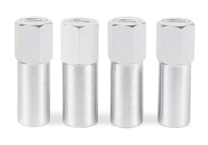 Ford Valve Cove Bolt Kit 4pk Chrome w/Ford Logo FRD302-315