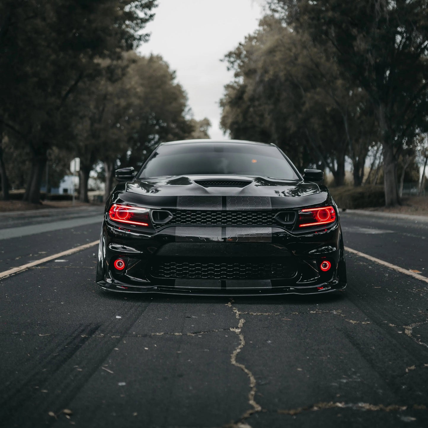 2015-2023 Dodge Charger Carbon Fiber Front Lip Splitter