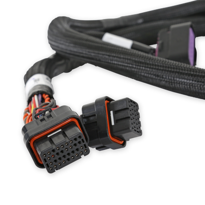 GM Gen V Gdi Early, Sub Harness