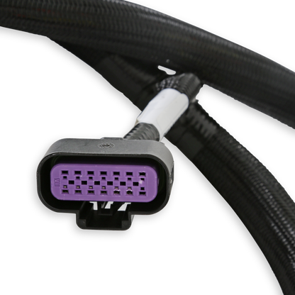 GM Gen V Gdi Early, Sub Harness