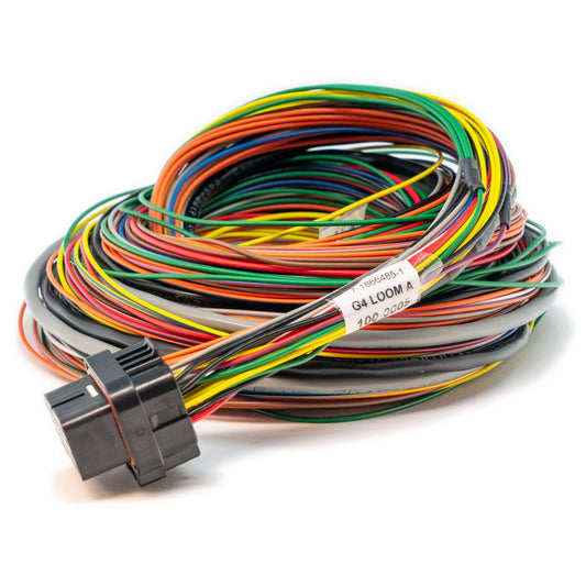 LINK ECU - A Loom Medium (2LA)