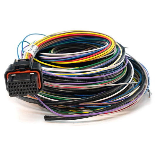 LINK ECU - B Loom Medium (2LB)