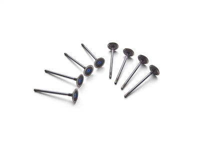 Ford Racing Coyote 5.2L Lightweight Exhaust Valve - Set of 8 M-6505-M52