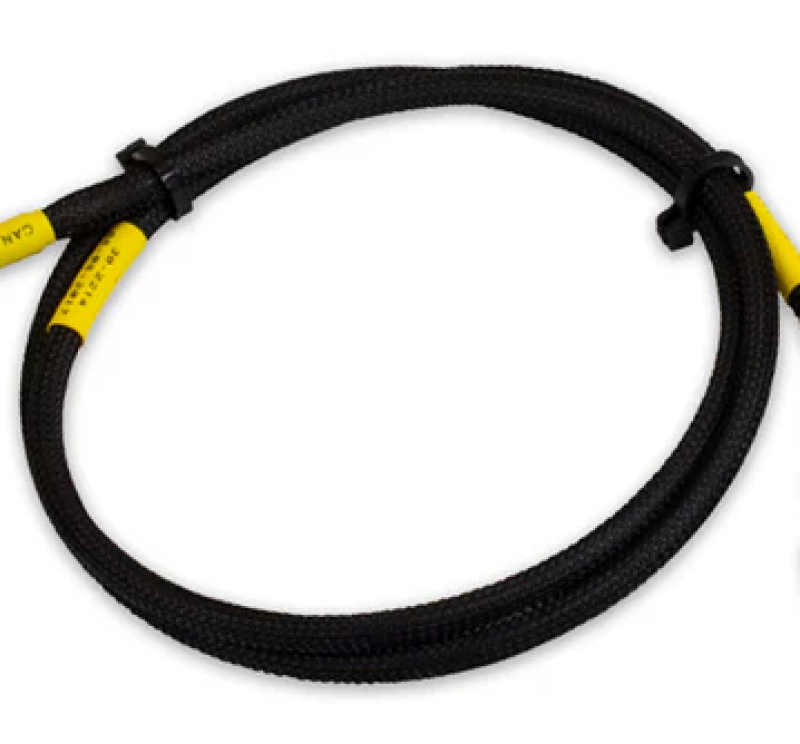 AEM Electronics CD-7/CD-7L Plug & Play Adapter Harness For Holley EFI