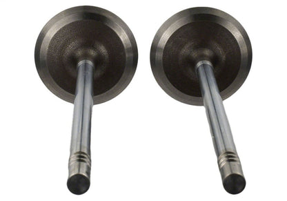 Ford Racing Coyote 5.2L Lightweight Intake Valve - Set of 8 M-6507-M52