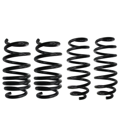2017-22 Tesla Model 3 Racing Front Rear Lowering Springs Suspension kit US