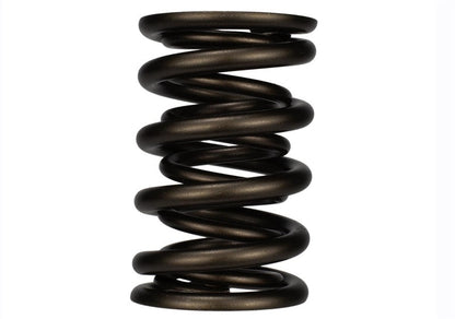 Ford Racing Replacement Valve Springs (TVS-1734) - Set Of 8 M-6513-17348