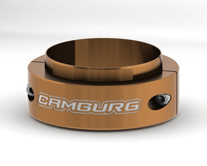 Camburg Ford Raptor 17-20 2.0in Spring Preload Spacer Kit (Gold) CAM-110138-GLD