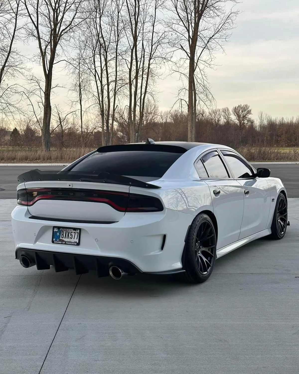 Eibach Pro-Kit for 11-23 Dodge Challenger