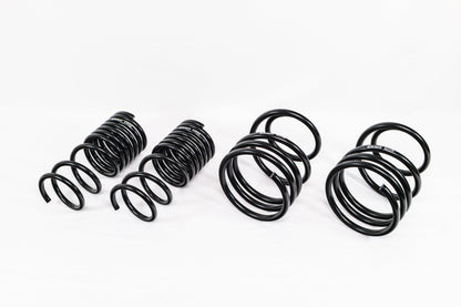 Subaru WRX (2015–2021) Spec-R Lowering Springs
