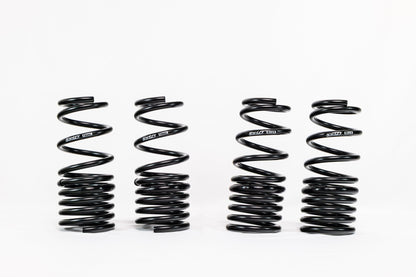 Honda S2000 AP1/AP2 (2000–2009) Spec-R Lowering Springs