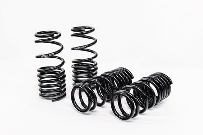 Honda S2000 AP1/AP2 (2000–2009) Spec-R Lowering Springs