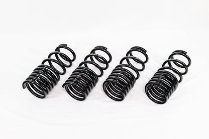 Honda S2000 AP1/AP2 (2000–2009) Spec-R Lowering Springs