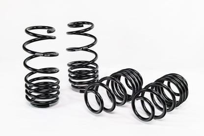 Honda Civic Si (2012–2015) Spec-R Lowering Springs