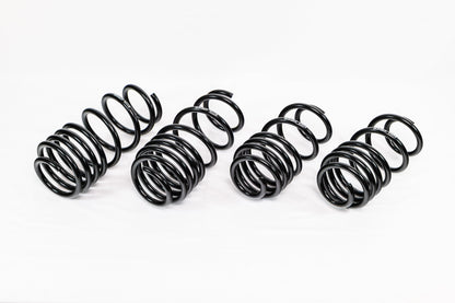 Honda Civic Si (2012–2015) Spec-R Lowering Springs