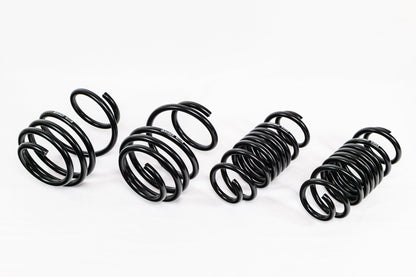 Honda Civic Type-R (2017–2022 FK8) Spec-R Lowering Springs