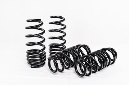 Acura TLX Type S (2021+) Spec-R Lowering Springs