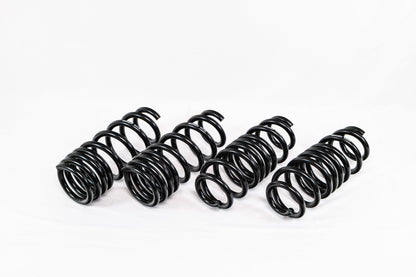 Acura TLX Type S (2021+) Spec-R Lowering Springs