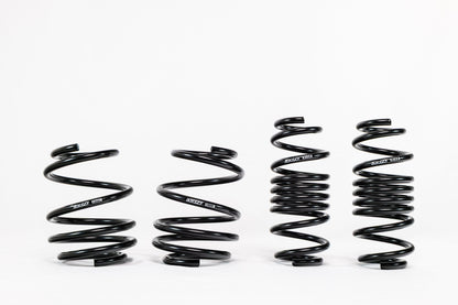 Honda Civic Type R FL5 (2023+) Spec-R Lowering Springs