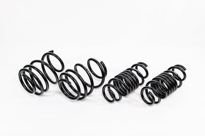 Honda Civic Type R FL5 (2023+) Spec-R Lowering Springs