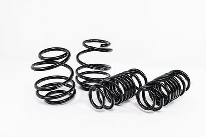 Acura Integra Type S (2023+) Spec-R Lowering Springs