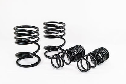 Mitsubishi Lancer EVO 8/9 (2005–2007) Spec-R Lowering Springs