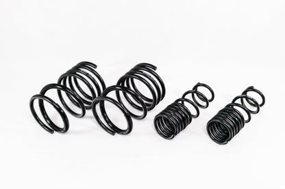 Mitsubishi Lancer EVO 8/9 (2005–2007) Spec-R Lowering Springs