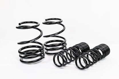 Mitsubishi Lancer EVO X (2008–2016) Spec-R Lowering Springs