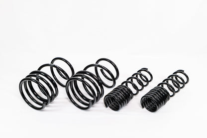 Mitsubishi Lancer EVO X (2008–2016) Spec-R Lowering Springs