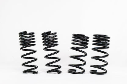 Nissan 370Z Z34 (2009–2020) Spec-R Lowering Springs