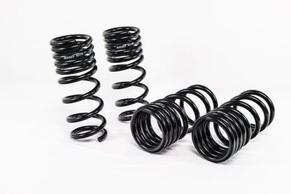 Nissan 370Z Z34 (2009–2020) Spec-R Lowering Springs