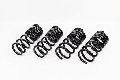 Nissan 370Z Z34 (2009–2020) Spec-R Lowering Springs