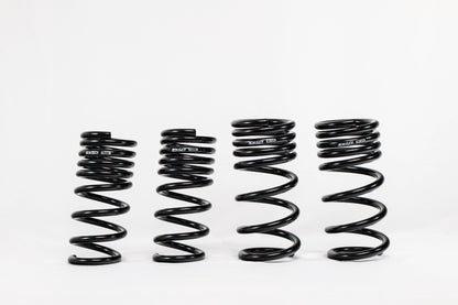 Nissan Z RZ34 (2023+) Spec-R Lowering Springs