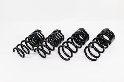 Nissan Z RZ34 (2023+) Spec-R Lowering Springs