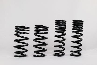 Lexus GS F (2016–2020) Spec-R Lowering Springs