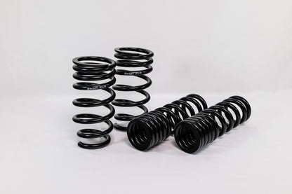 Lexus GS F (2016–2020) Spec-R Lowering Springs