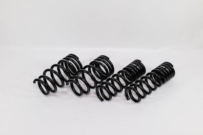 Lexus GS F (2016–2020) Spec-R Lowering Springs
