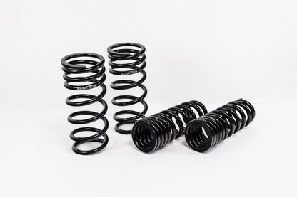Lexus IS 500 (2022+) Spec-R Lowering Springs