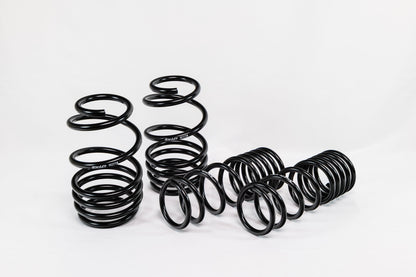 Ford Focus ST (2013–2018) Spec-R Lowering Springs