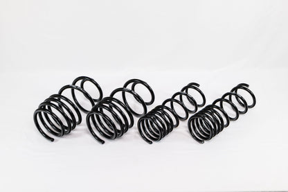 Ford Focus ST (2013–2018) Spec-R Lowering Springs