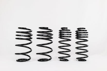 Ford Fiesta ST (2014–2019) Spec-R Lowering Springs