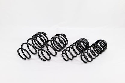 Ford Fiesta ST (2014–2019) Spec-R Lowering Springs