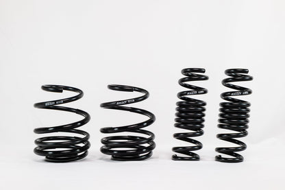 BMW M2 G87 (2023+) Spec-R Lowering Springs